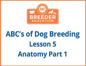 ABC's of Dog Breeding Anatomy Part 1 Course Title