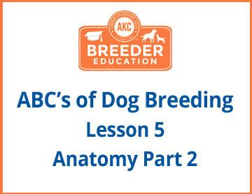 Anatomy Part 2 Course