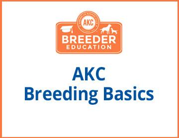 AKC Breeding Basics - Free Course