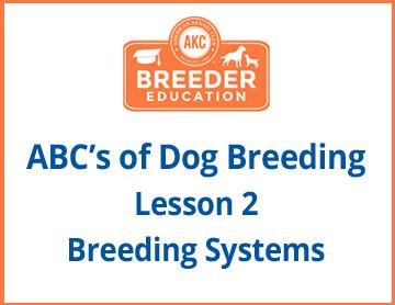 ABCs of Dog Breeding, Breeding Systems - Free Course