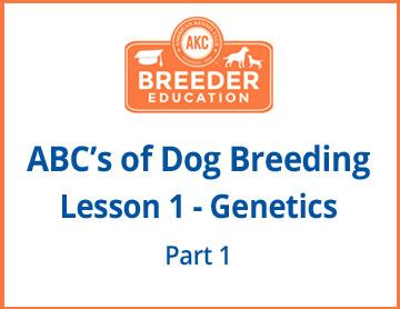ABCs of Dog Breeding, Genetics Part 1 - Free Course