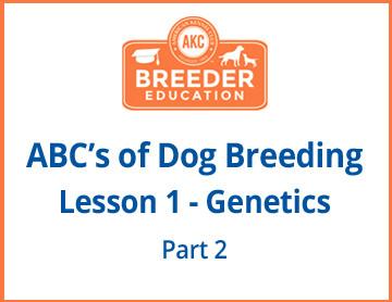 ABCs of Dog Breeding, Genetics Part 2 - Free Course