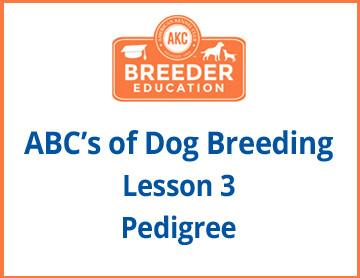 ABCs of Dog Breeding, Pedigree - Free Course
