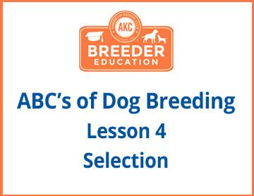 ABCs of Dog Breeding, Selection - Free Course