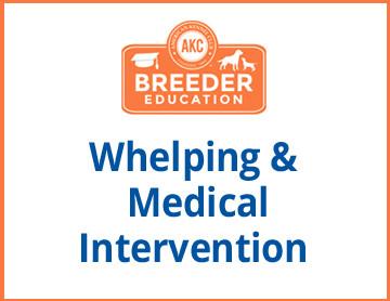 Whelping  Medical Intervention - Free Course