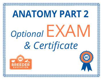 Anatomy Part 2 Exam