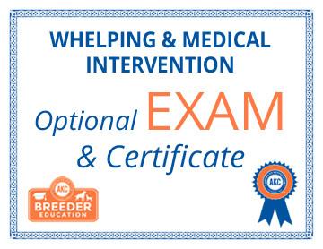 Whelping  Medical Intervention  Exam