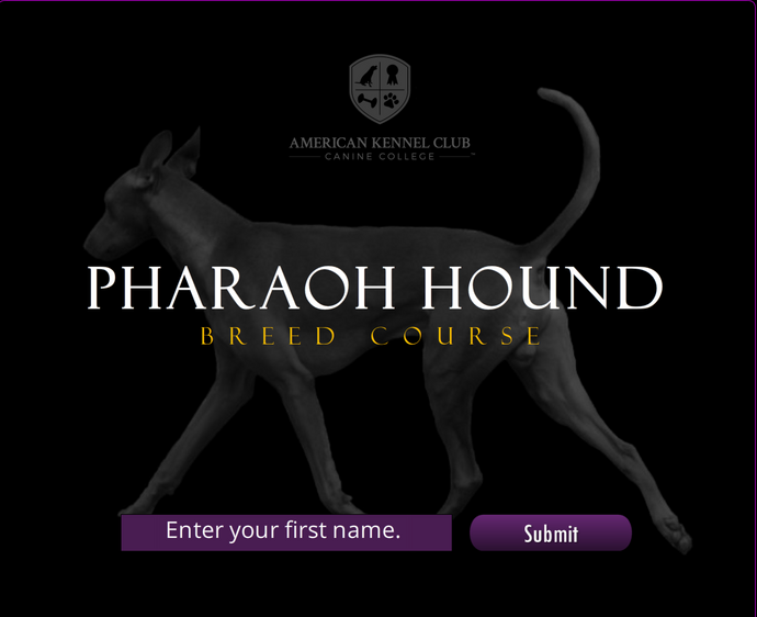 Title Page from Pharaph Hound Course