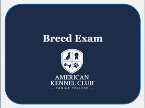Breed Exam Logo