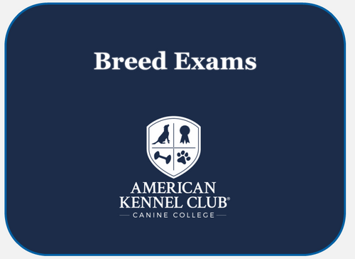 Breed Exam Title image