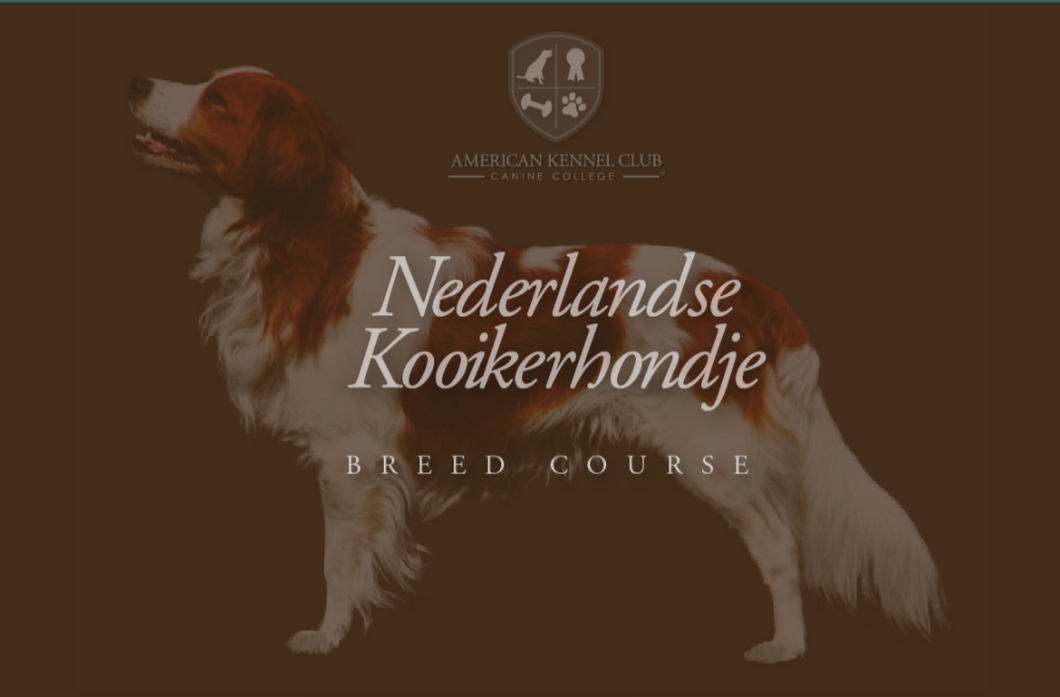 Icon with Breed Course Title: Nederlandse Kooikerhondje